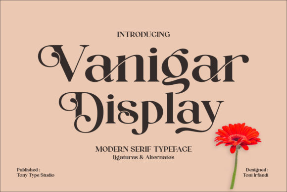 A Stylish Font That Lifts Your Entire Brand