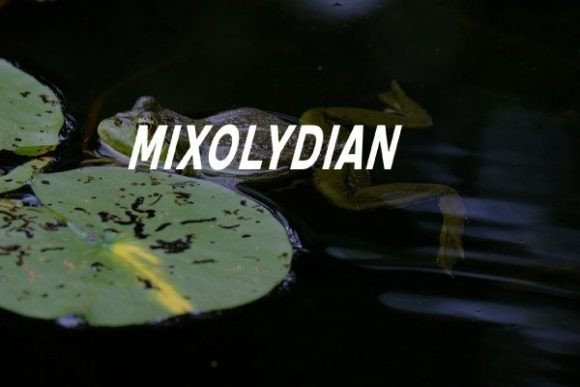 Mixolydian: An American Sans-Serif Display Typeface